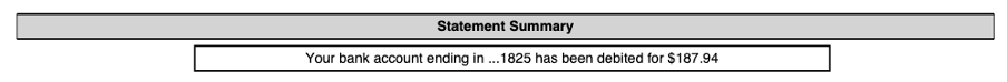 Statement Summary showing the amount debited from the bank account